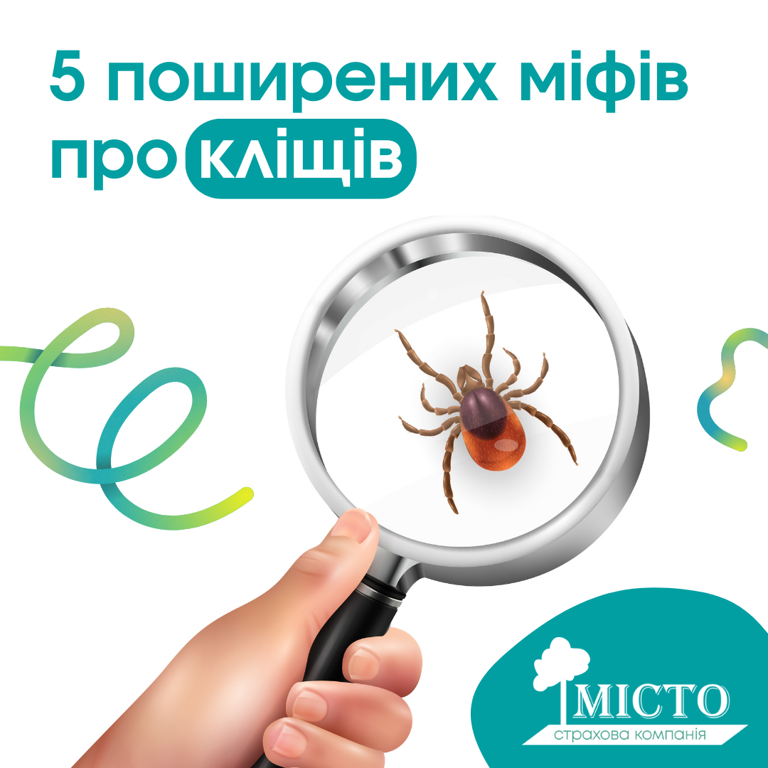 Фото - розвінчуємо міфи про кліщів